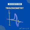 IGCSE Math 0580 Trigonometry Worksheets